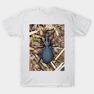 Scaphinotus angusticollis, snail-killer carabid T-Shirt